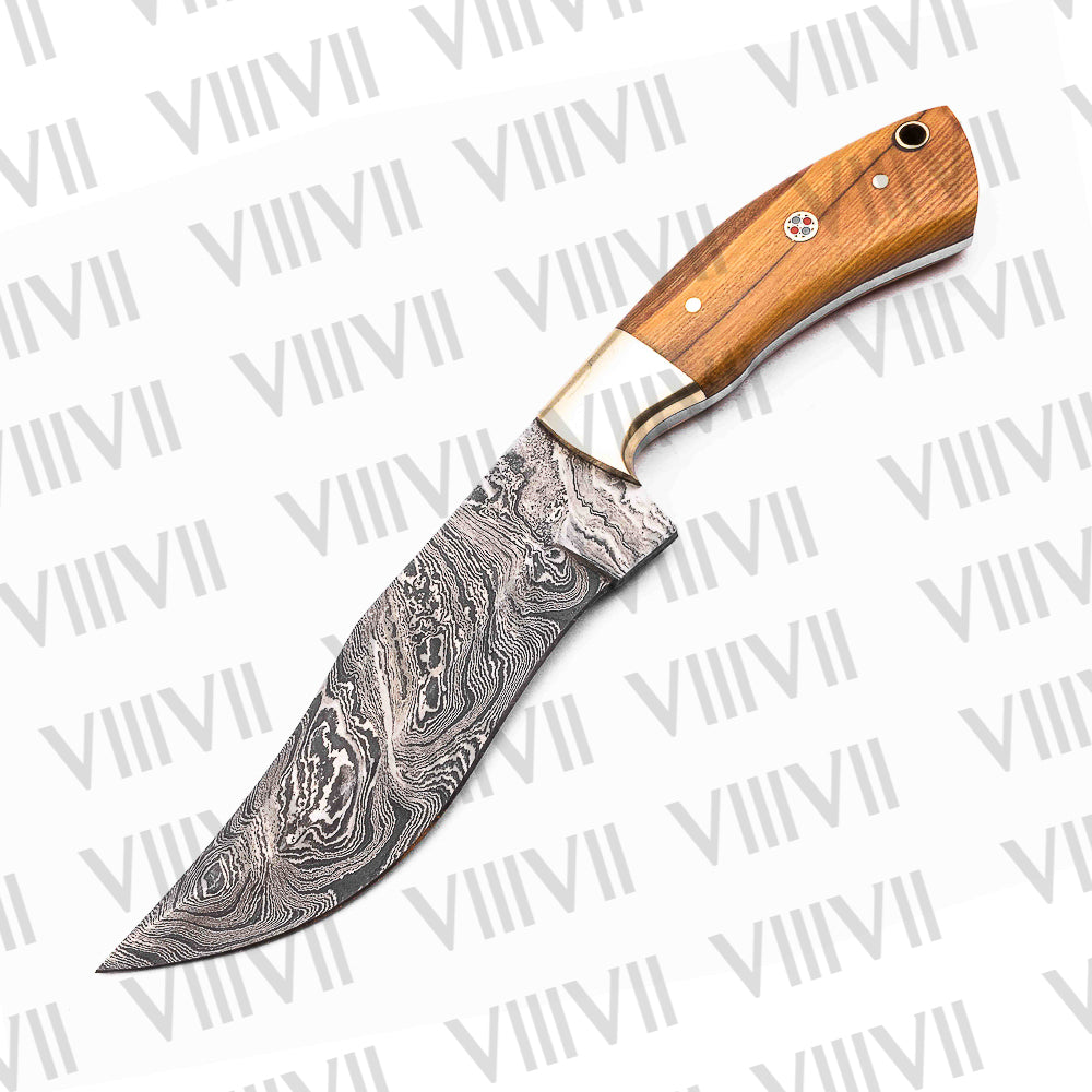 Damascus Steel Hunting Knife – Olive Wood Handle & Gold Bolster | Hand Forged Full Tang Knife for Outdoor Use & Gifting
