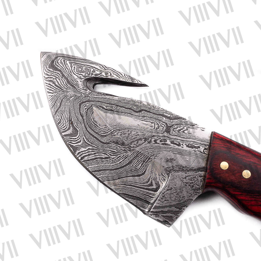 Damascus Steel Gut Hook Knife – Blue Ashwood Handle | Hand Forged Full Tang Hunting Knife for Camping & Outdoor Gifts