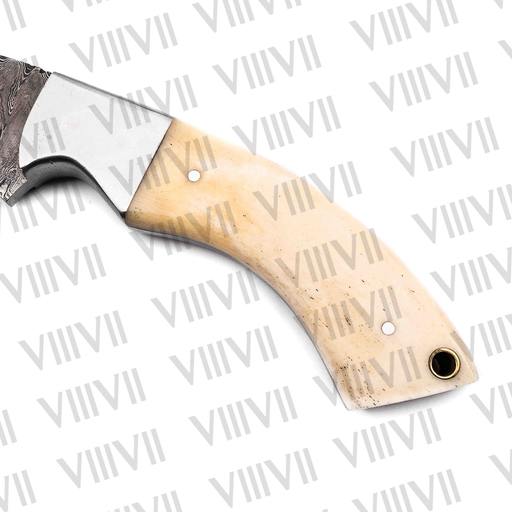 Damascus Steel Gut Hook Hunting Knife – Camel Bone Handle & Full Tang | Hand Forged Knife for Outdoor, Survival & Gifting