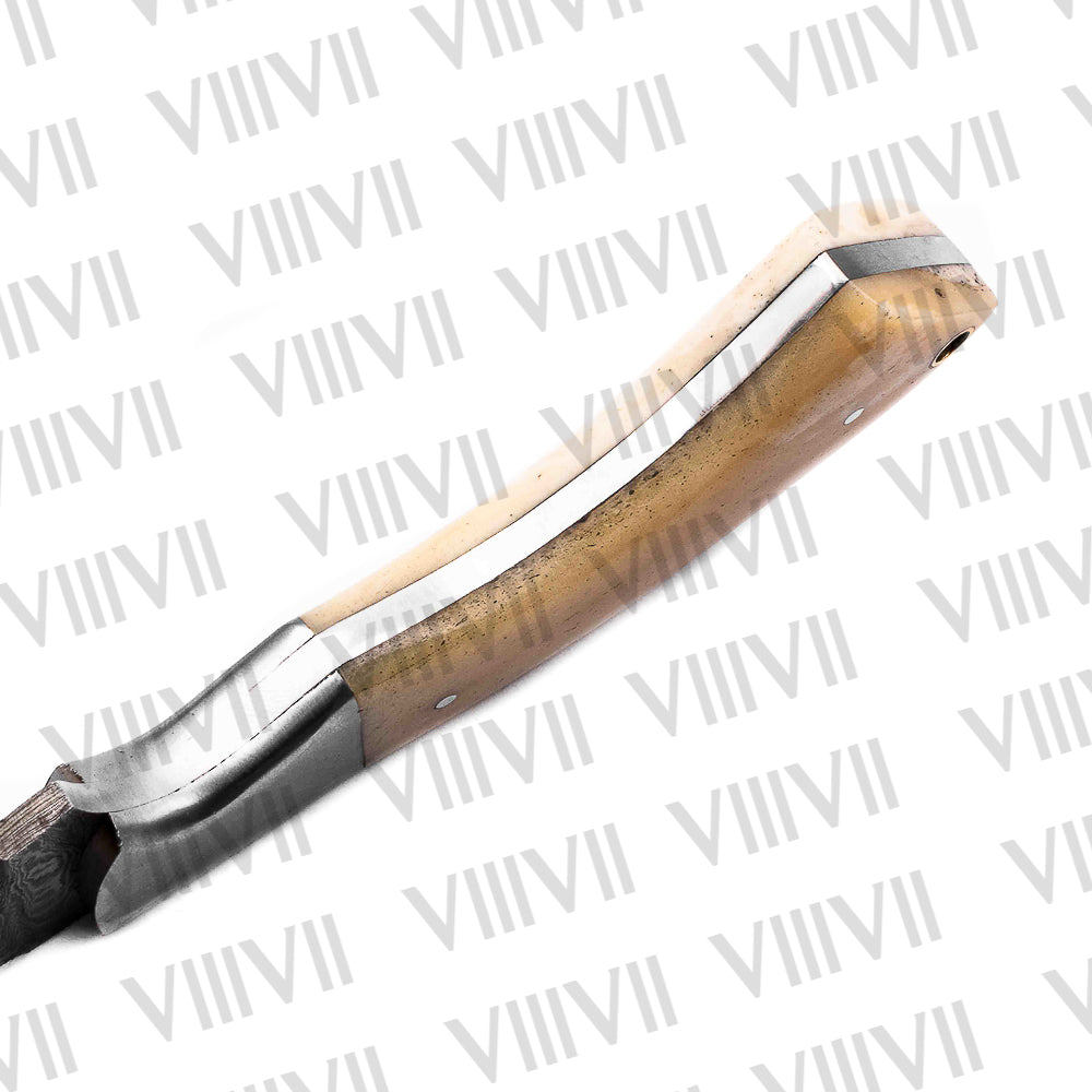 Damascus Steel Gut Hook Hunting Knife – Camel Bone Handle & Full Tang | Hand Forged Knife for Outdoor, Survival & Gifting