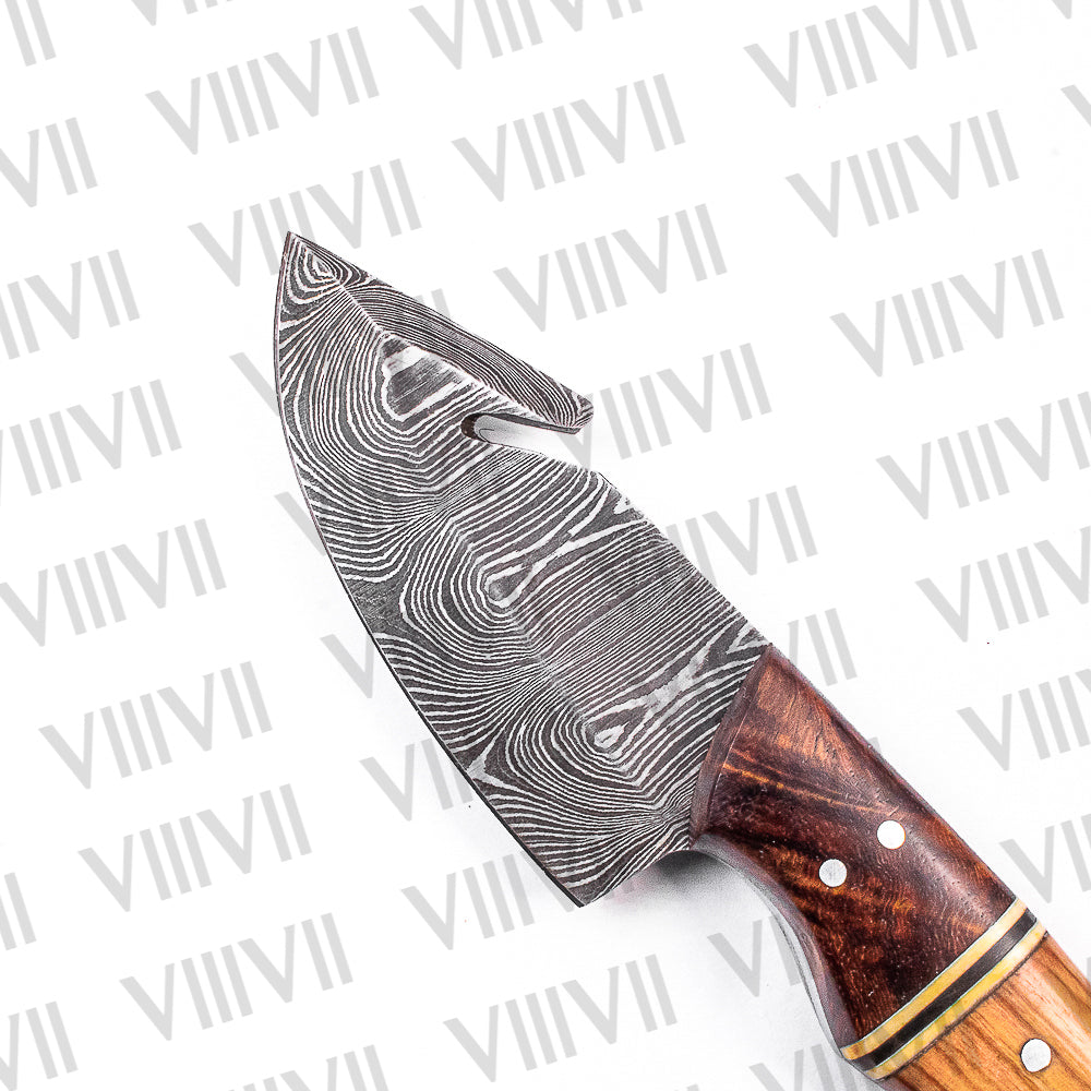 Damascus Steel Gut Hook Knife with Ashwood Handle – Hand-Forged Hunting & Camping Tool