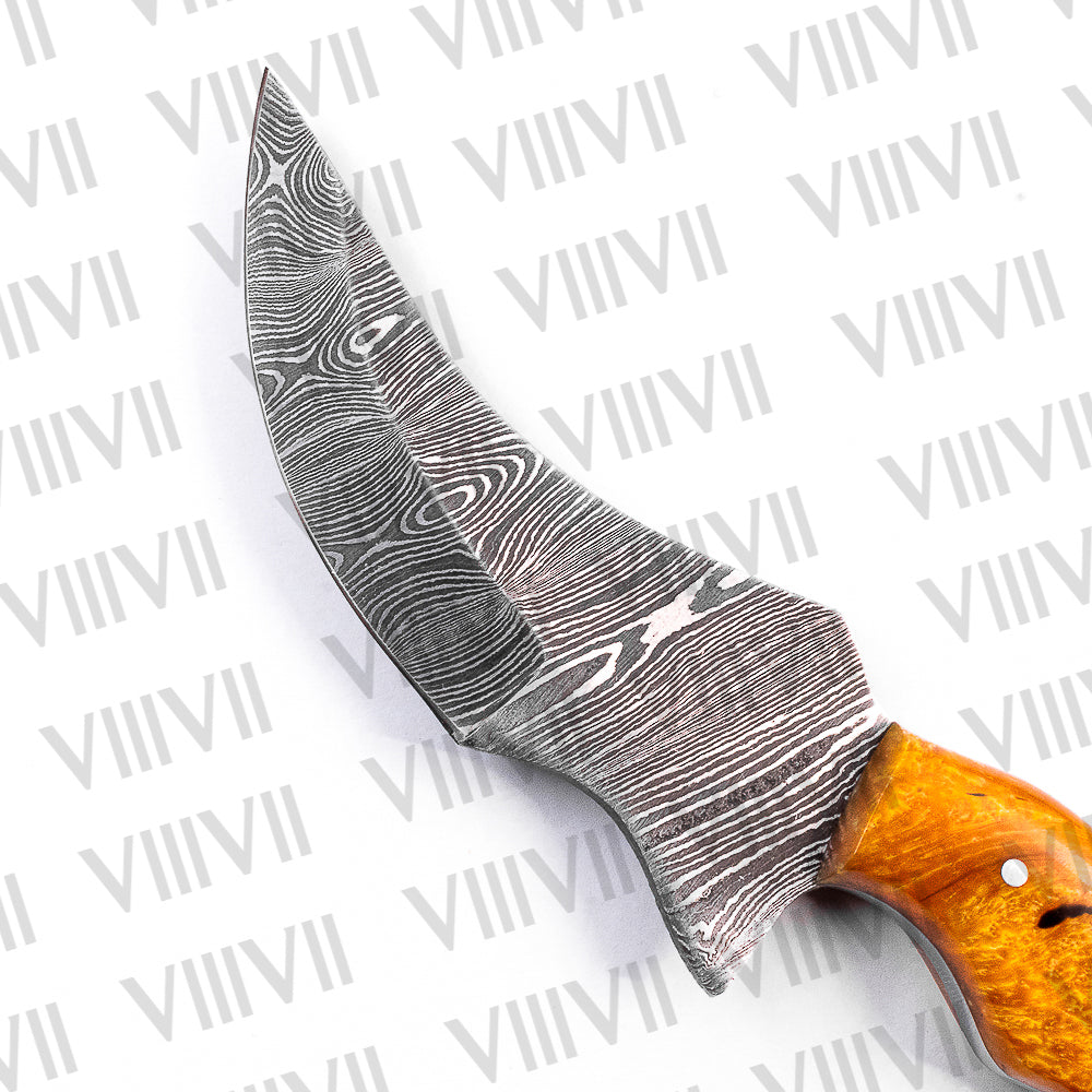 Damascus Steel Skinner Knife with Gold Resin Handle – Hunting & Camping Tool