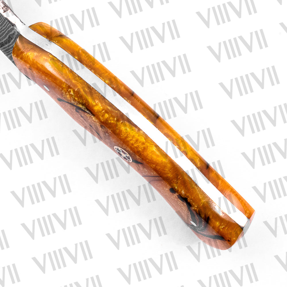 Damascus Steel Skinner Knife with Gold Resin Handle – Hunting & Camping Tool