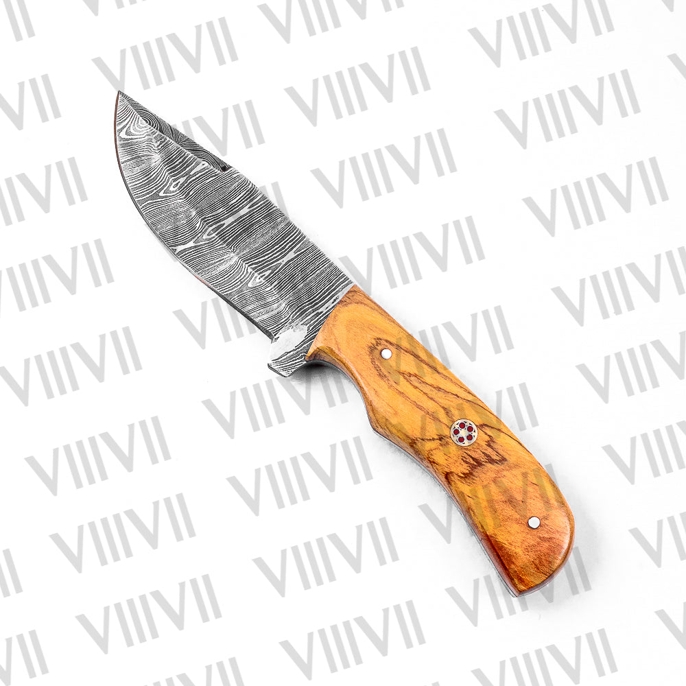 Hunter’s Knife in Damascus Steel with Beautiful Olive Wood Handle – Full Tang Outdoor Blade