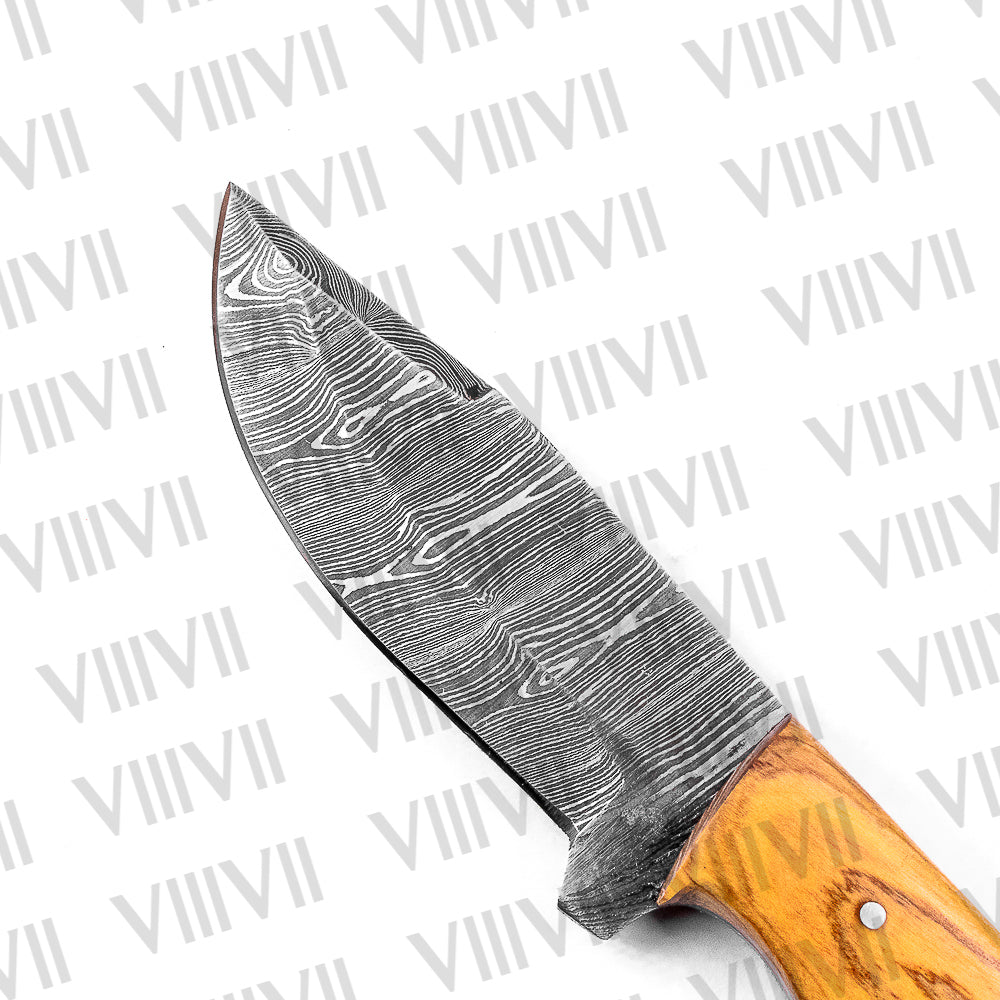 Hunter’s Knife in Damascus Steel with Beautiful Olive Wood Handle – Full Tang Outdoor Blade