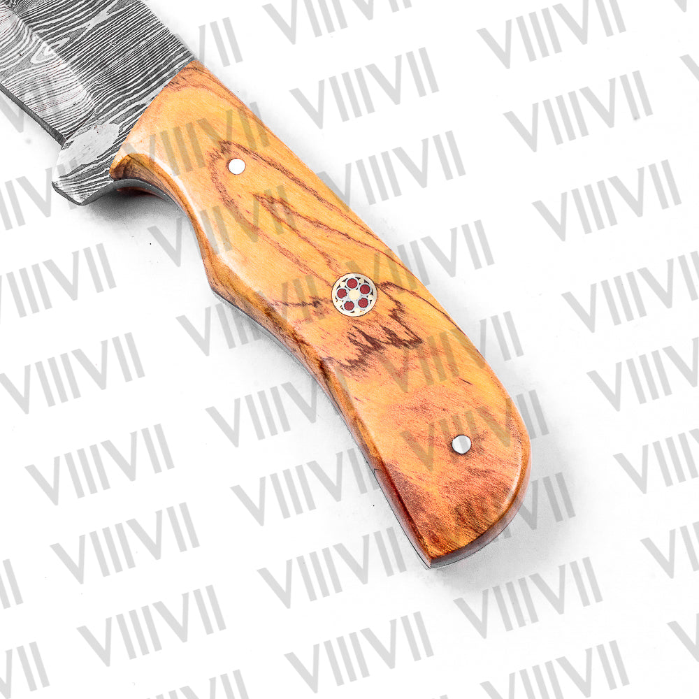 Hunter’s Knife in Damascus Steel with Beautiful Olive Wood Handle – Full Tang Outdoor Blade