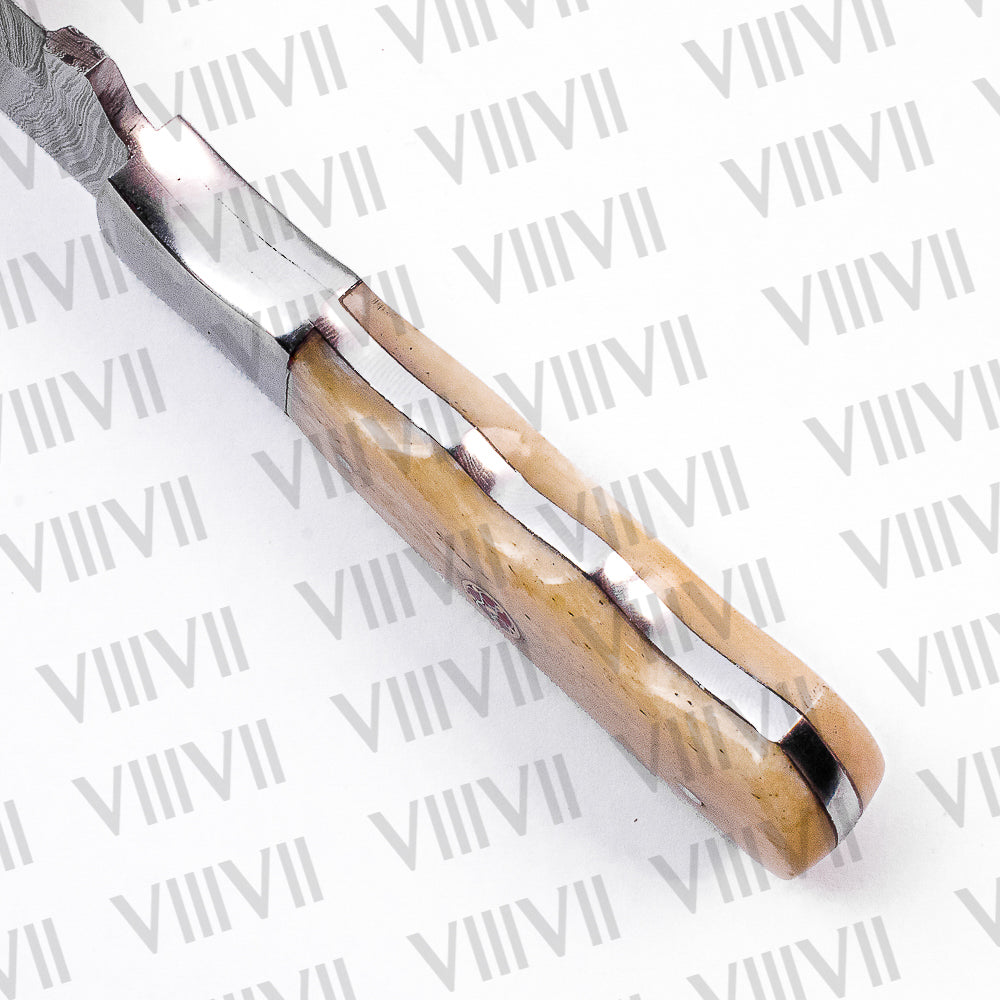 Damascus Steel Skinner Knife with Bone Handle & Steel Bolster – Handmade Hunting Knife for Outdoors & Gifting