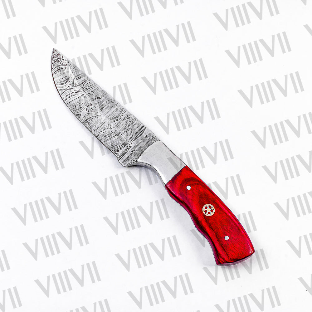Forged Damascus Steel Camping Knife with Red Wood Handle & Steel Bolster – Outdoor Bushcraft Tool