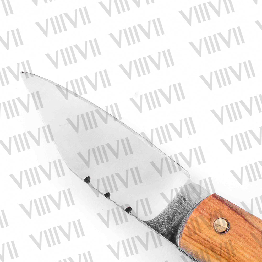 Folding Pocket Knife Keychain – Stainless or Damascus Blade with Olive Wood Handle | Mini EDC Utility Knife for Gifting, Outdoor & Everyday Use